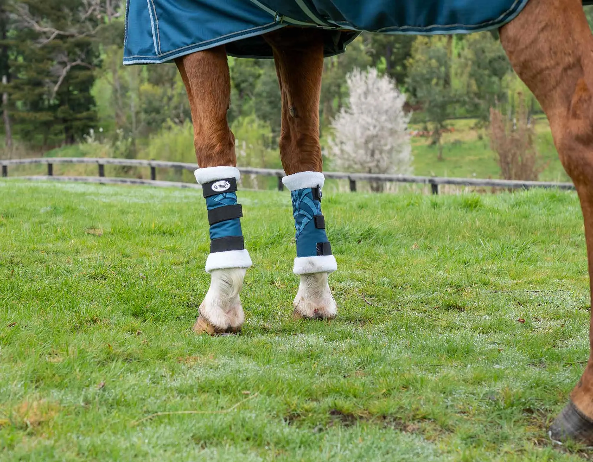 Caribu 1200D Paddock Boot