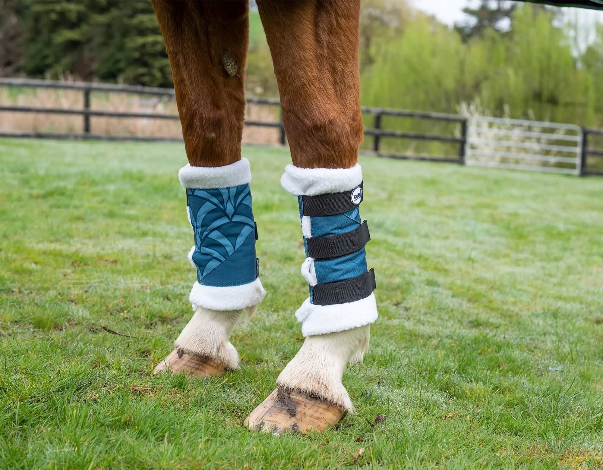 Caribu 1200D Paddock Boot