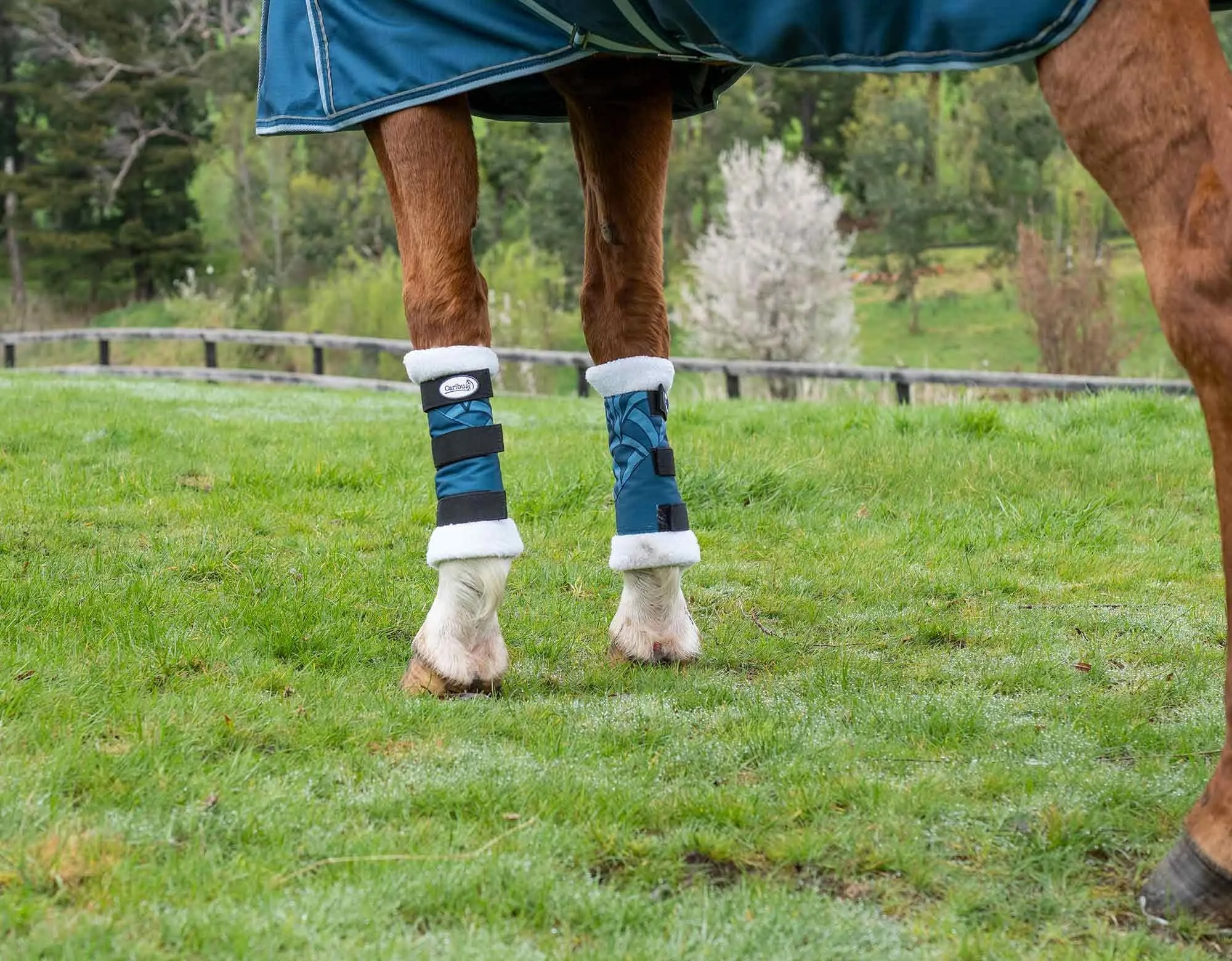 Caribu 1200D Paddock Boot