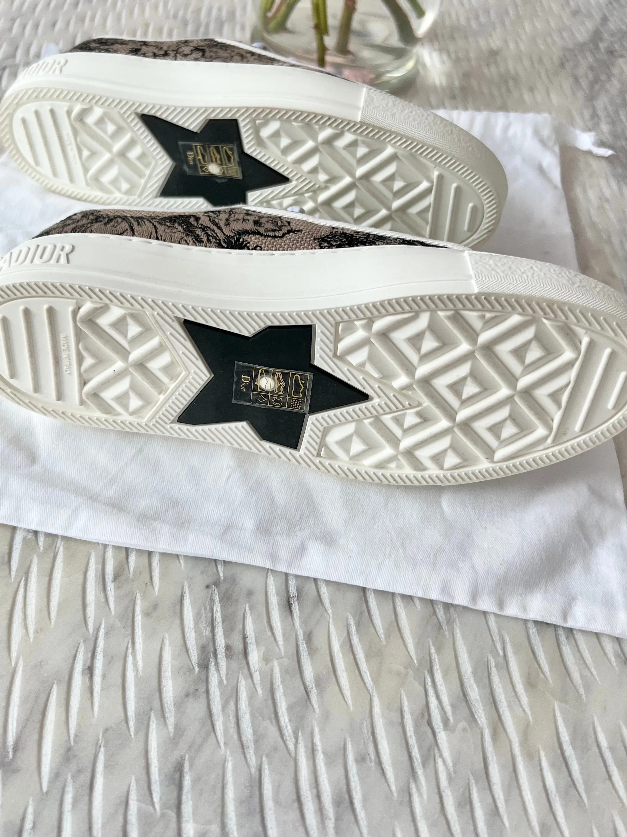 Christian Dior Walk N Dior Sneakers