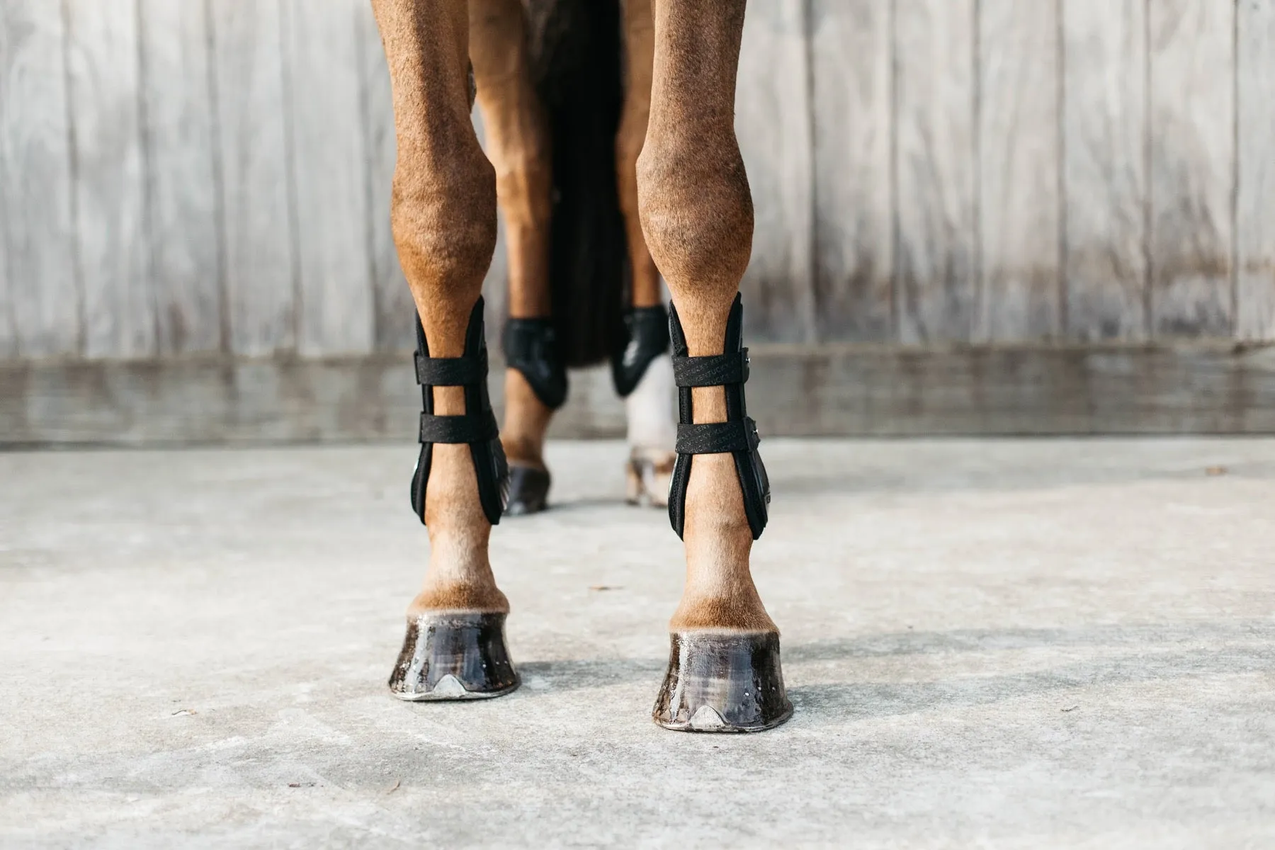 Kentucky Horsewear Bamboo Tendon Boots, Black