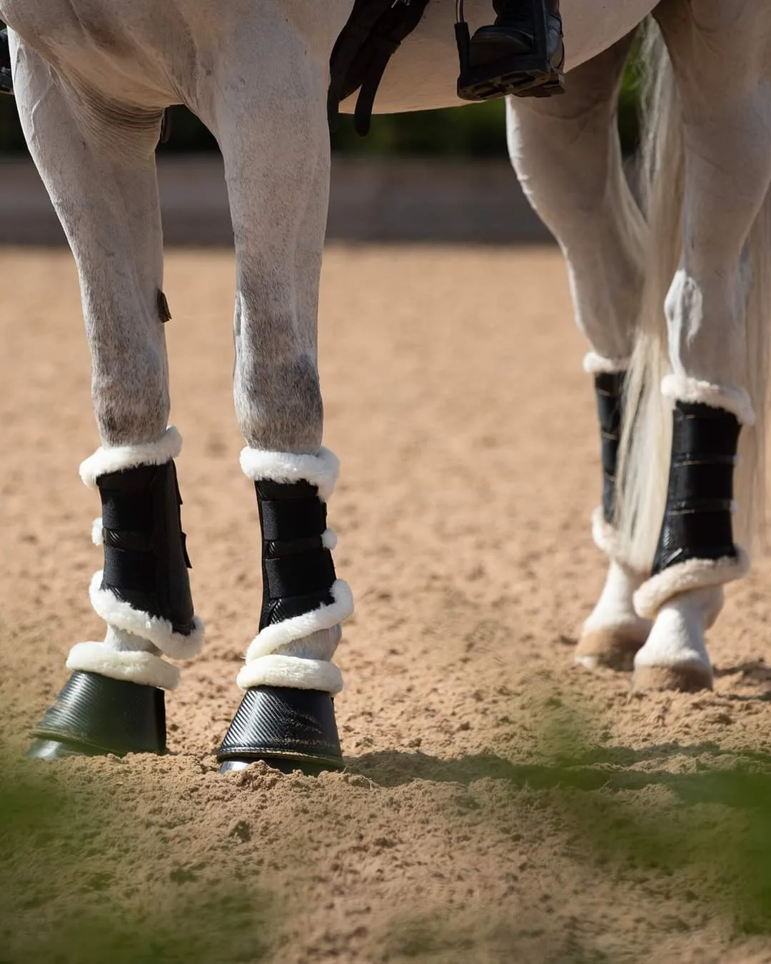 Premier Equine Techno Wool Brushing Boots