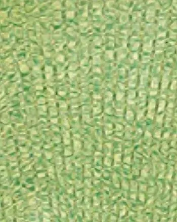Skye Cutout Ribbed-Knit Midi Dress in Marled Lime | Marled Lime